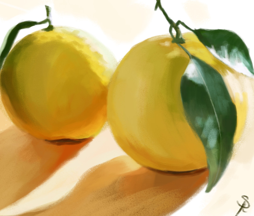 Godserg Art Lemons In Direct Sunlight Study