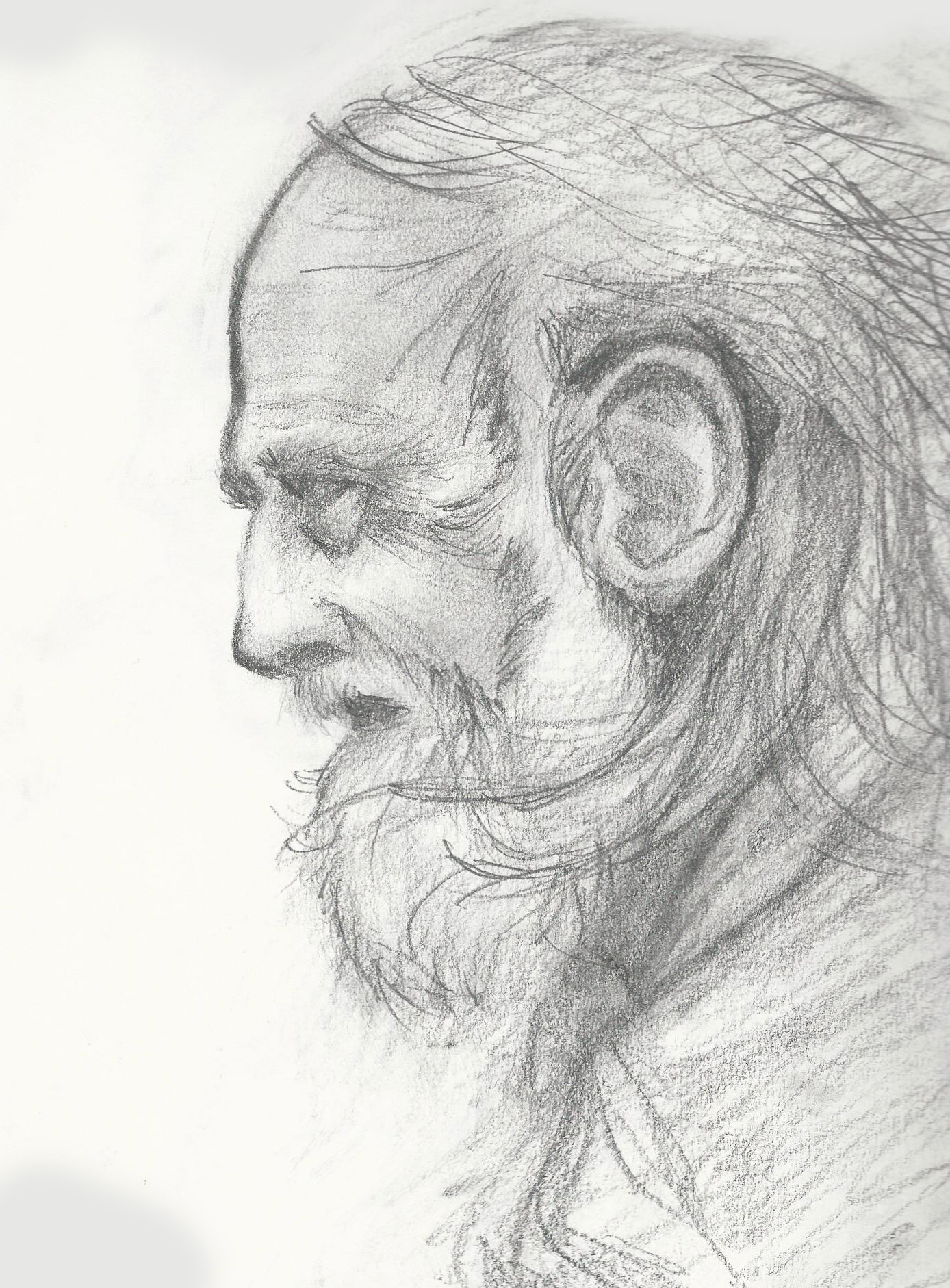 ArtStation Old Man Profile Drawing