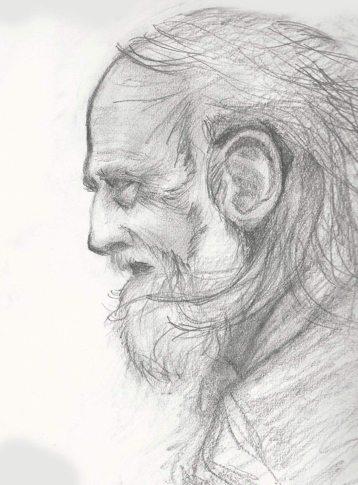Artstation Old Man Profile Drawing Marvin Francisco,Star Line Drawing