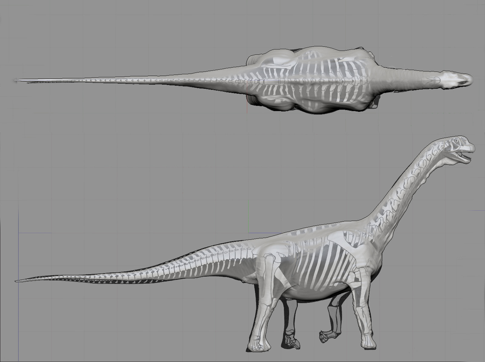 camarasaurus dinosaur