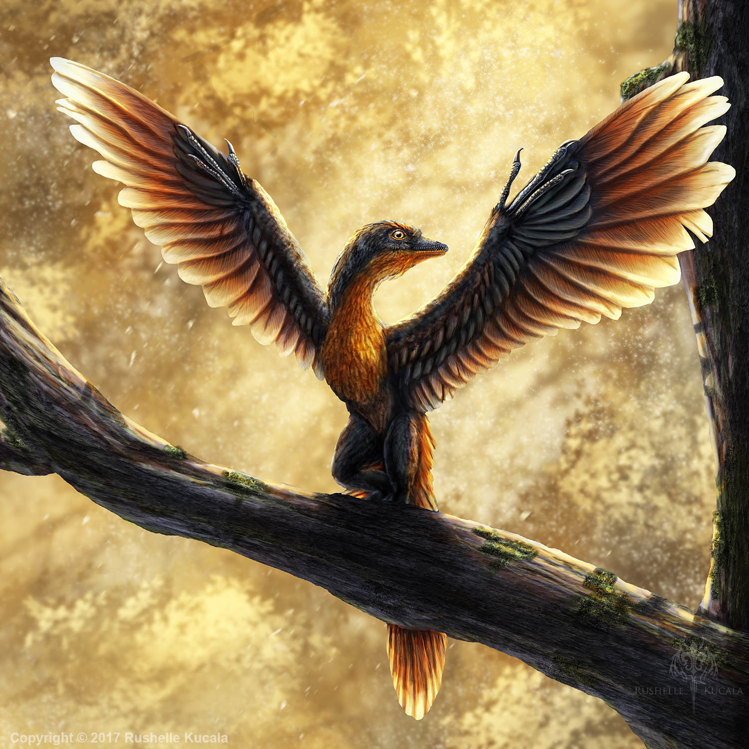 Возникновение первых птиц эра. Птица Археоптерикс. Древние птицы Археоптерикс. Мезозой Археоптерикс. Археоптерикс динозавр.