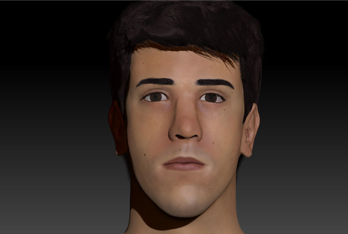 Realised project. Project realism.