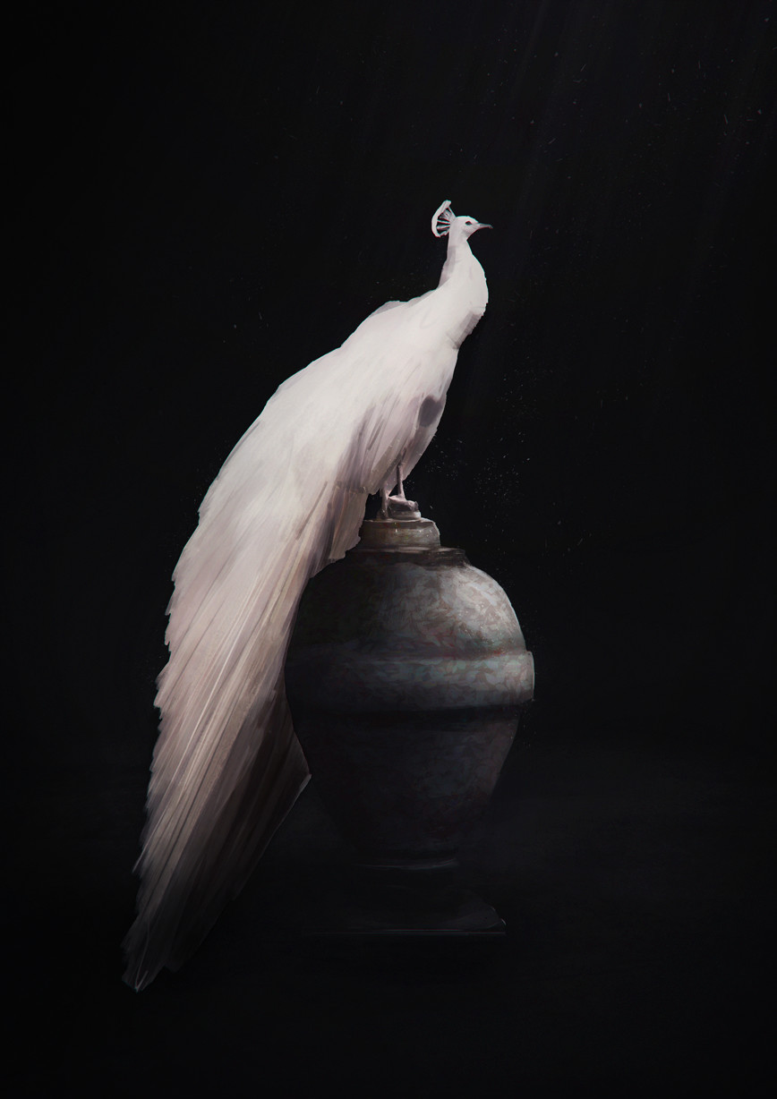 ArtStation - White peacock (digital painting)