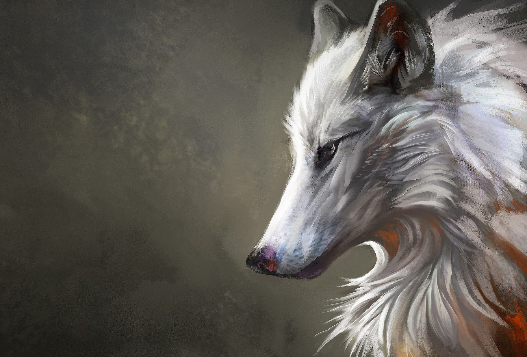 arctic wolf art anime arctic wolf