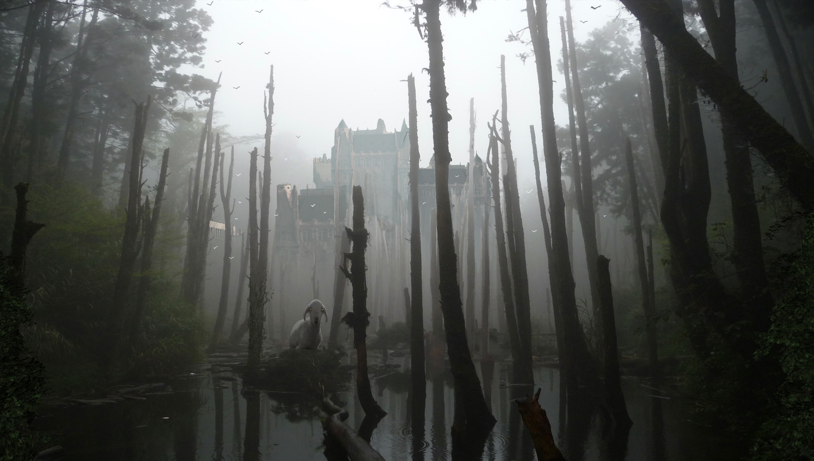 The fog