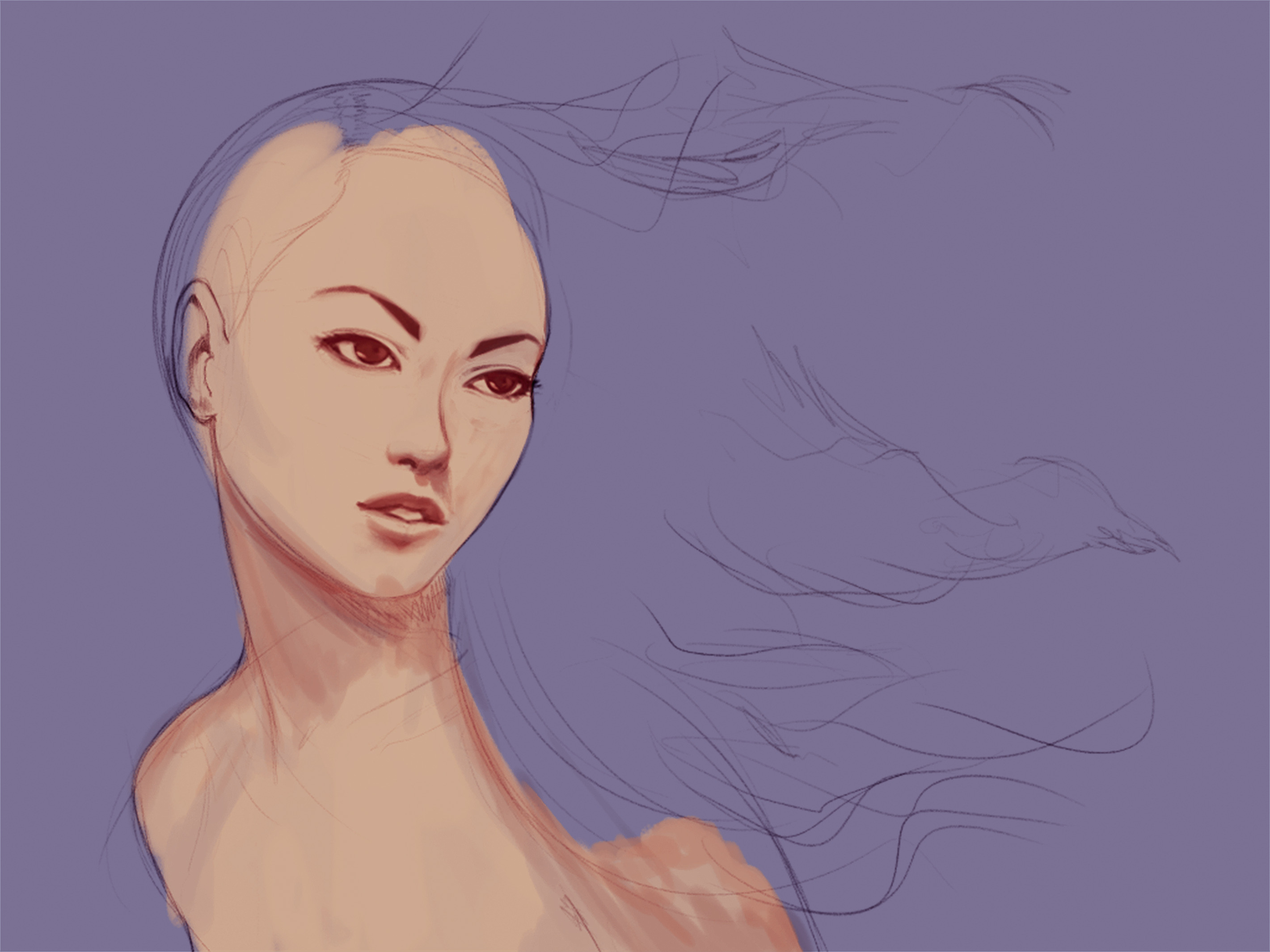 Rough colored draft