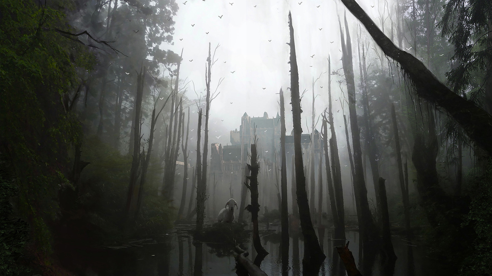 The Fog - Update #3