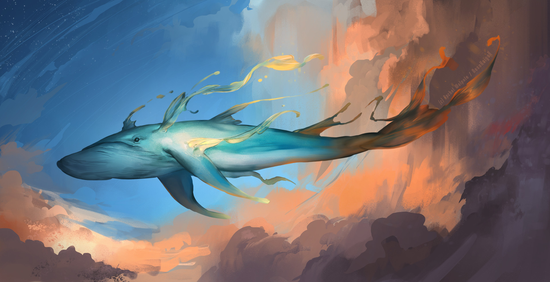 Artstation Sky Whale Rachel Walpole