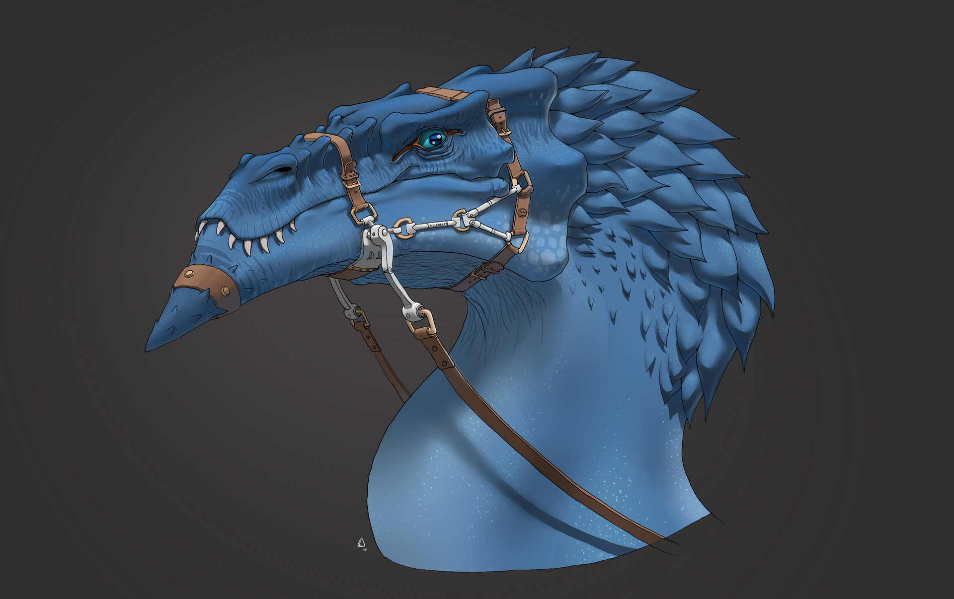 Mathieu LARNO STUDIO WARP Dragon with Harness