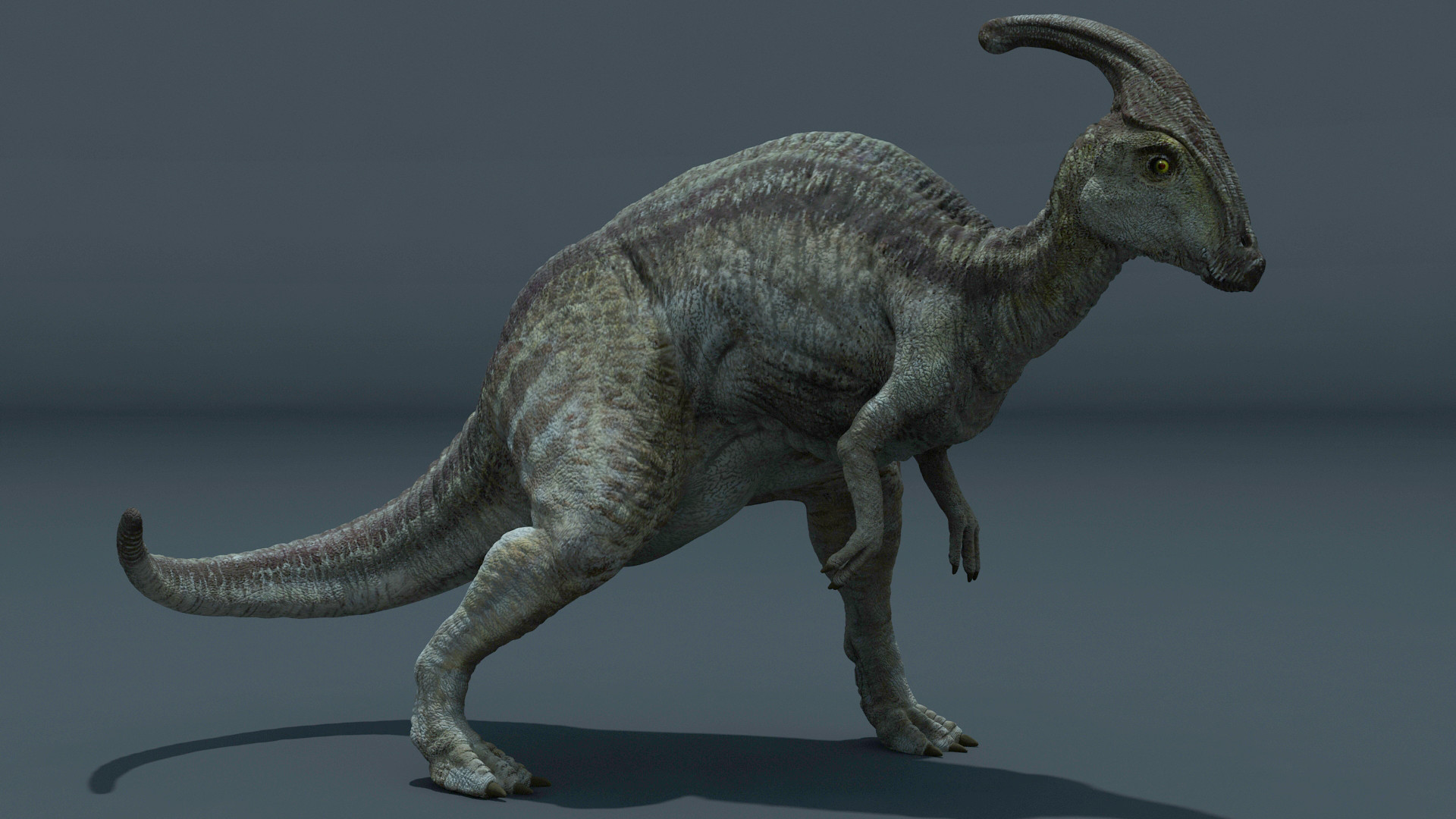 parasaurolophus herbivore