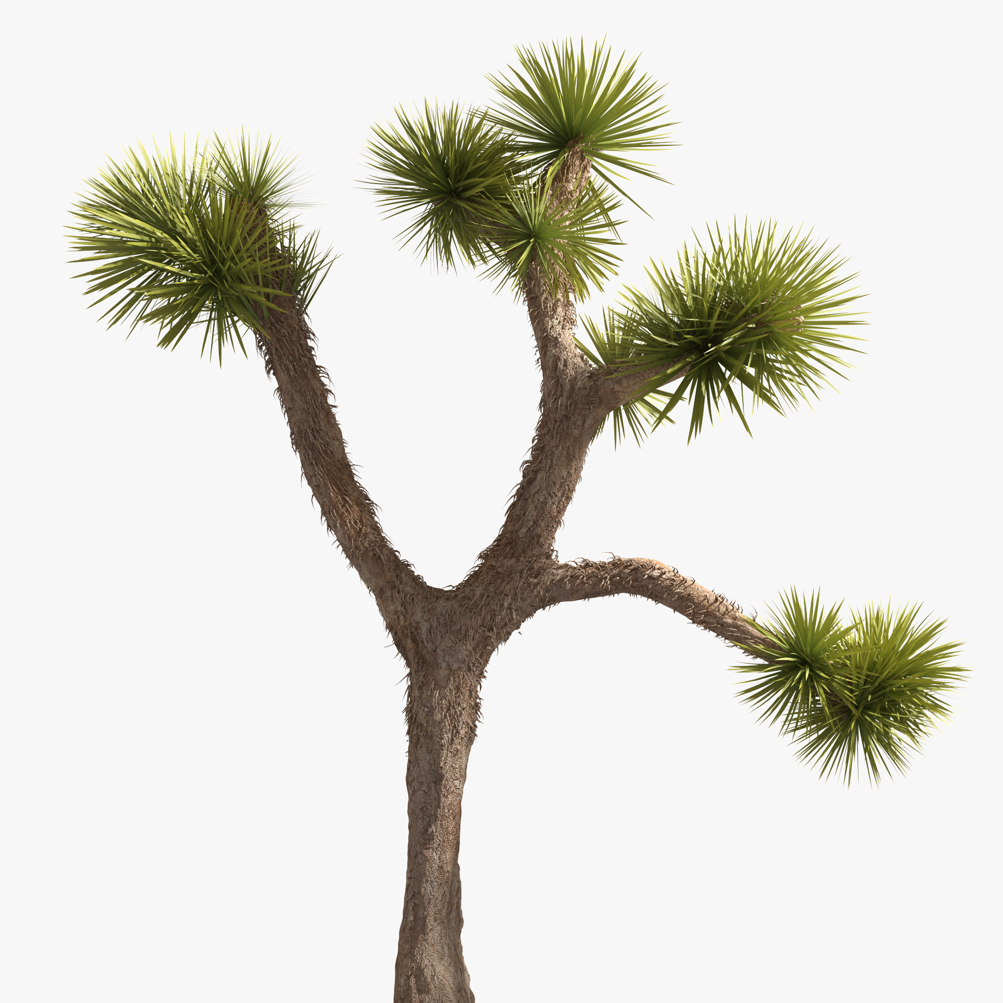 Desert Landscape 3D Model