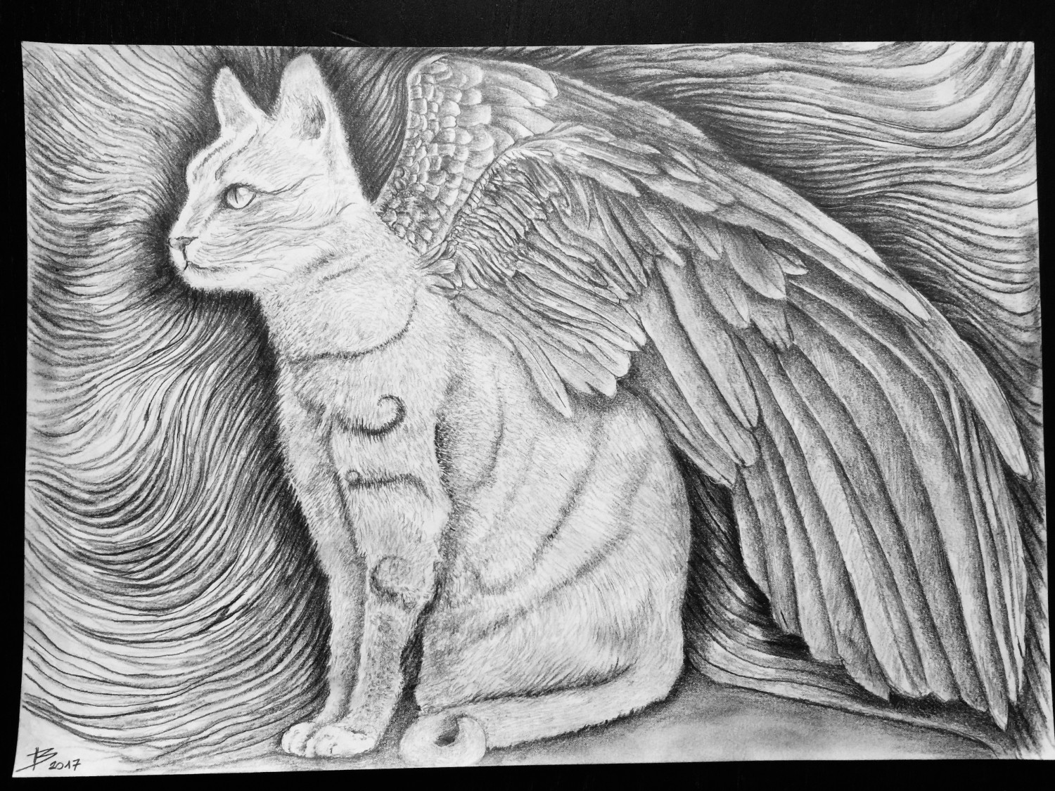 Artstation Cat Wings Ben Jeevan
