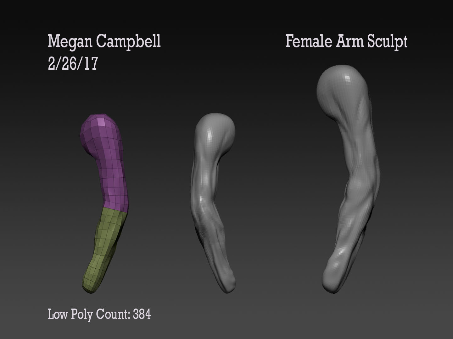 Megan Campbell - Female Arm Sculpt