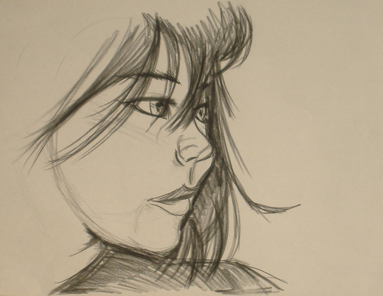 Profile sketch