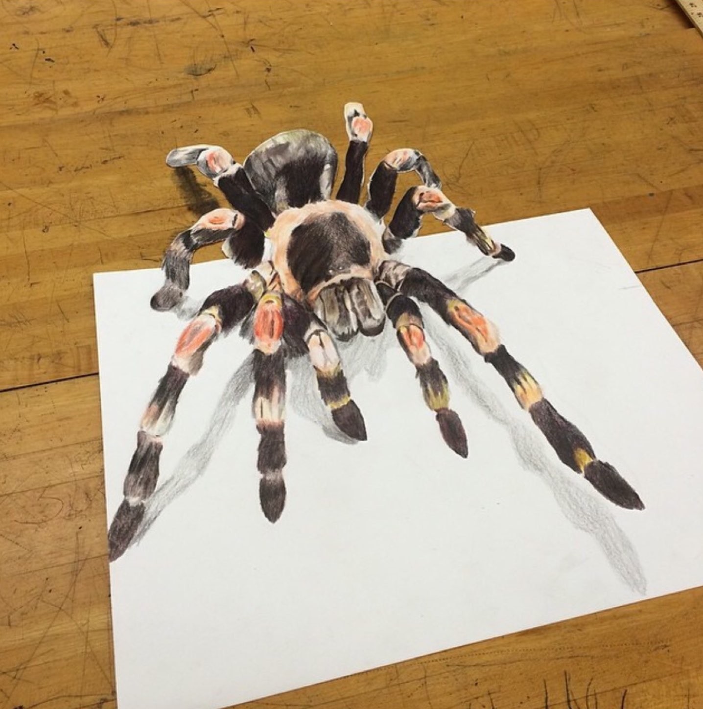 Amazoncom Clip Time Lapse 3D Drawing Tarantula Spider  Jasmina Susak  Prime Video