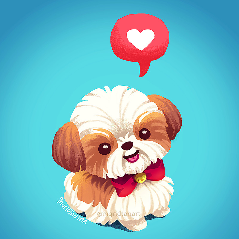 Ingrid Tan Shih Tzu Love