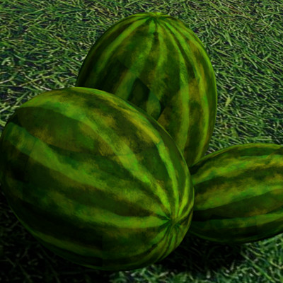 Miracles happen watermelon