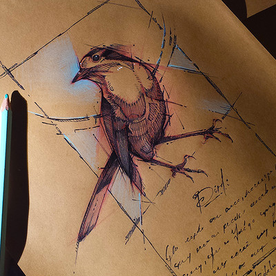 Psdelux bird sketch psdelux