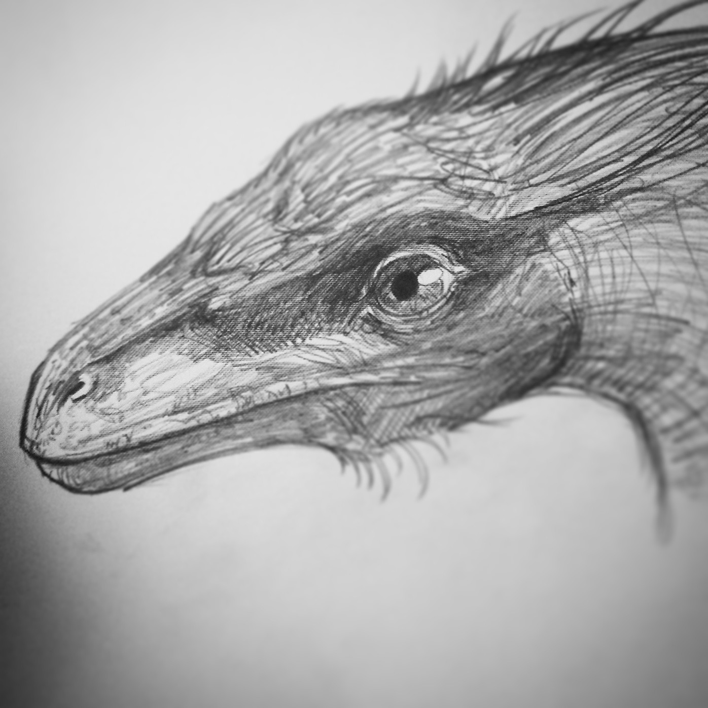 Troodon

https://www.kickstarter.com/projects/868769538/primeval-kings-the-art-of-ken-kokoszka