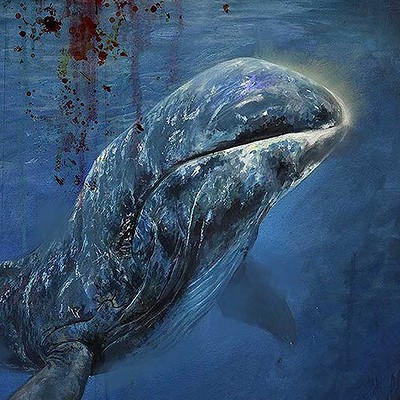 Aleksi briclot bowhex whale final small web