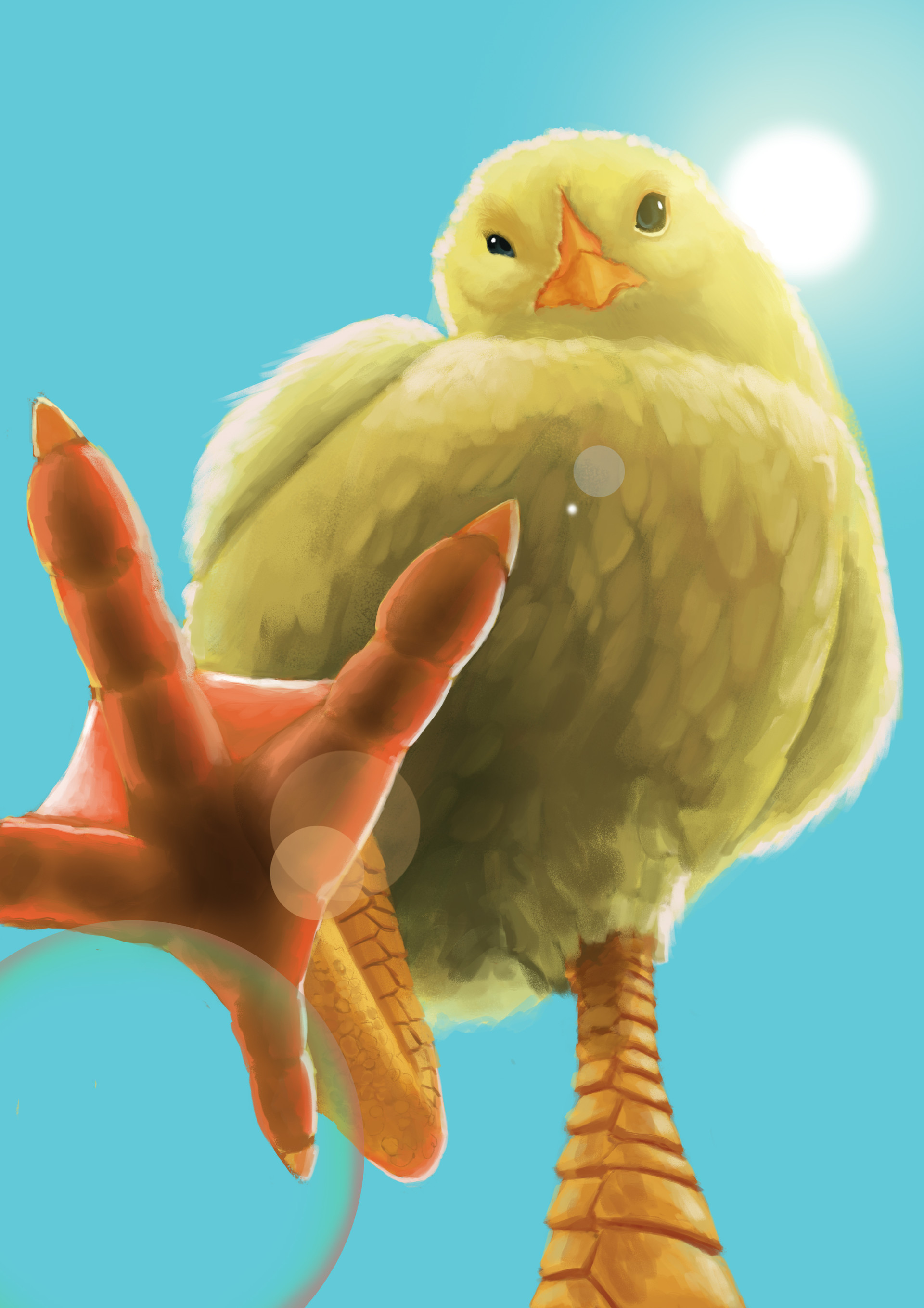Giant chicks hot sale