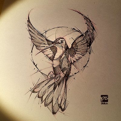 Psdelux hummingbird sketch da psdelux