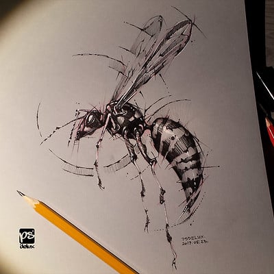 Psdelux wasp sketch timelapse psdelux