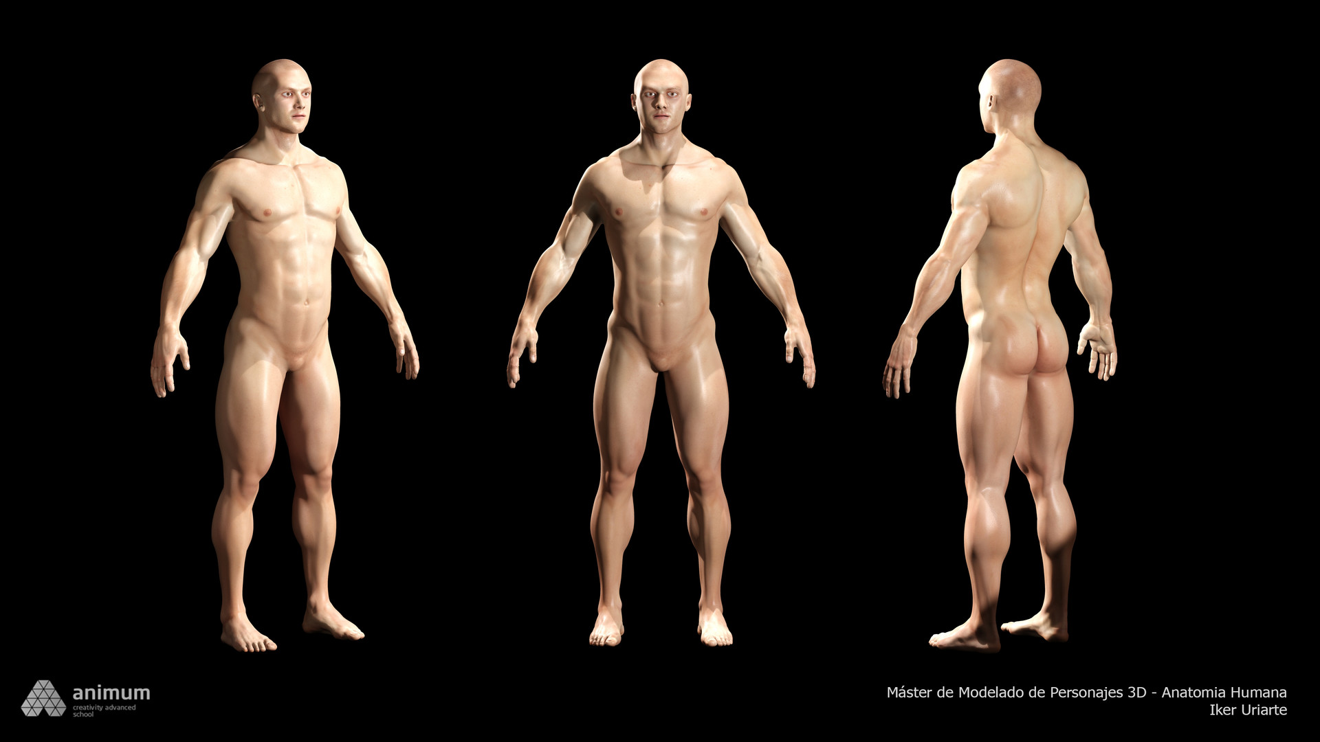 Artstation Animum 3d Course Human Anatomy Modelling And