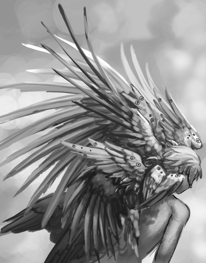 Sketch