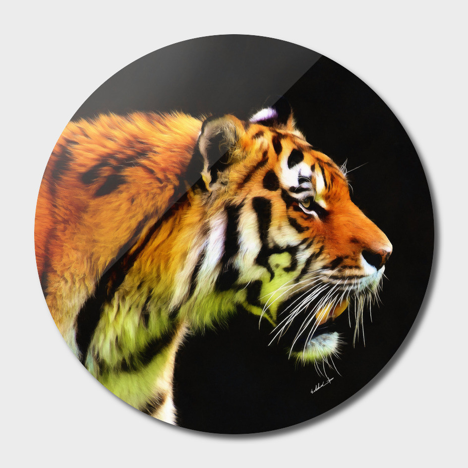 EDDIE'S TIGER