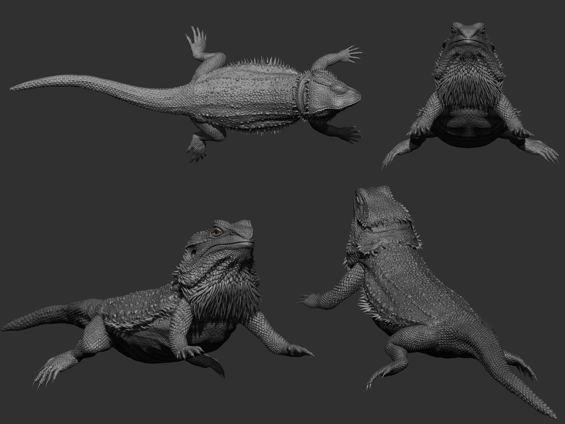 Artstation Bearded Dragon Lizard Aloke Saha