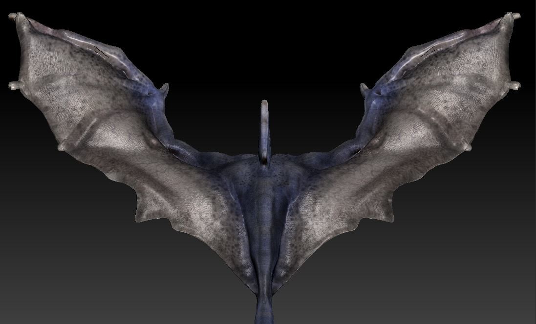 Full wingspan