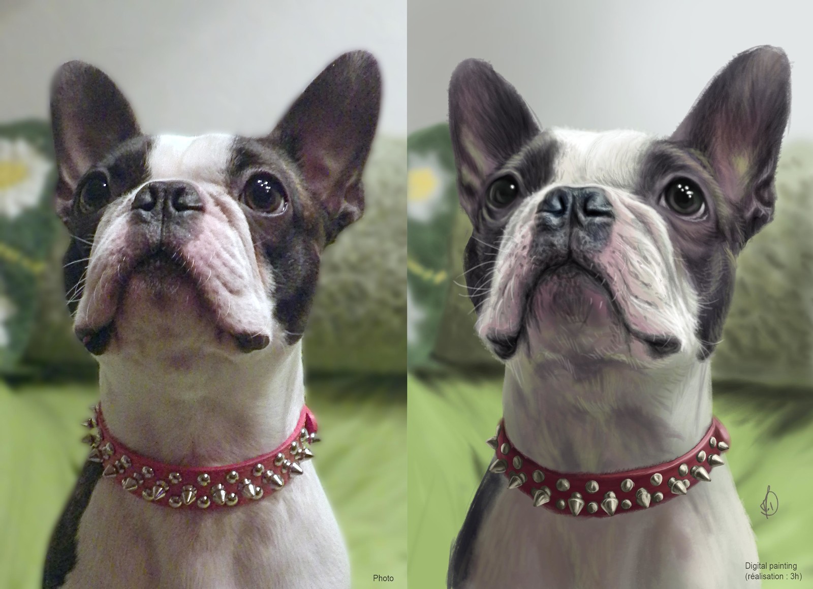 Attila, very dangerous dog ! :-D