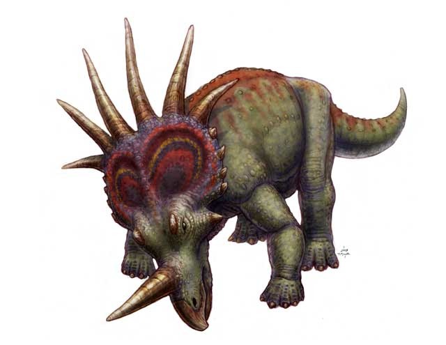 Dino art for marketing, signage, and model color guide.