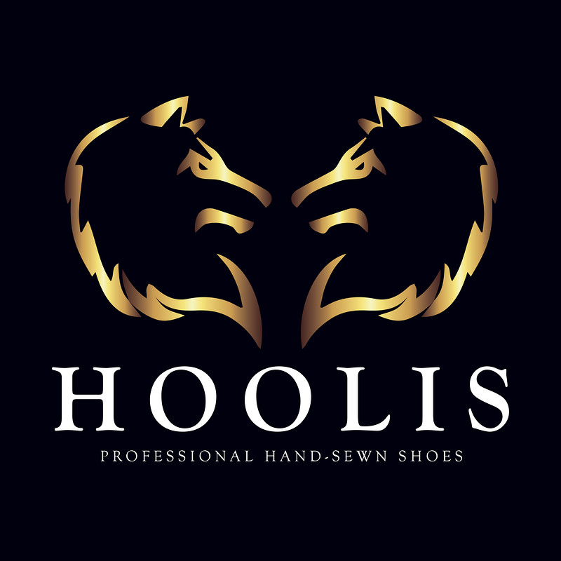 Hoolis Project