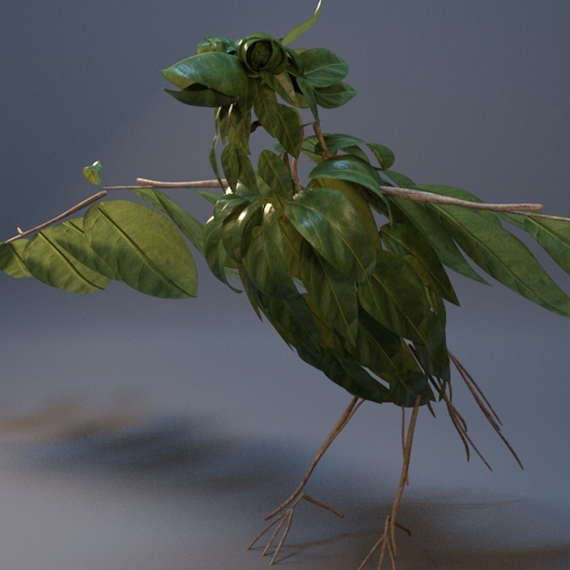 Hero Bird Concept Model