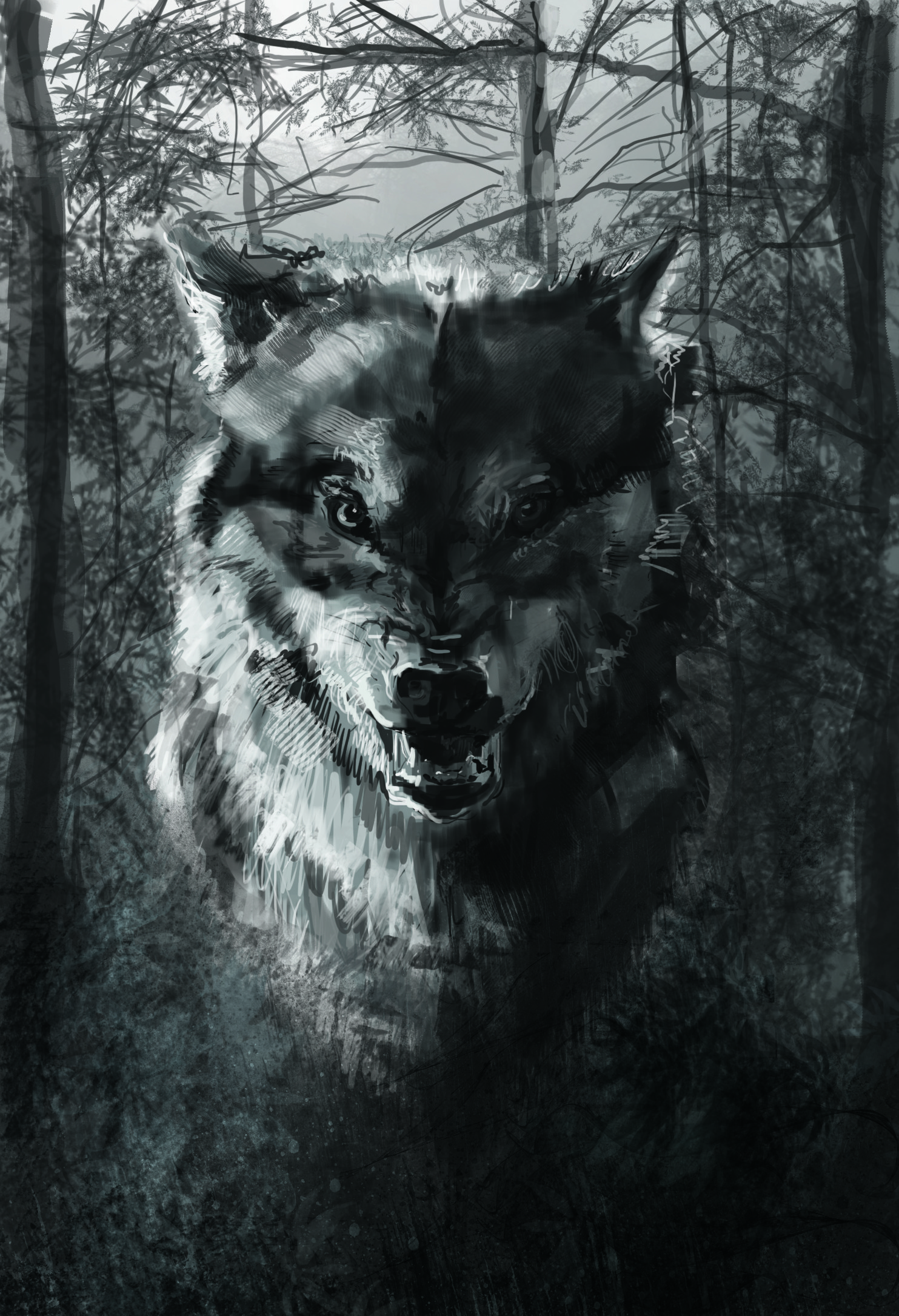 Волк на телефон оскал. Злой волк. Оскал волка. Черный волк. Красивый оскал волка.