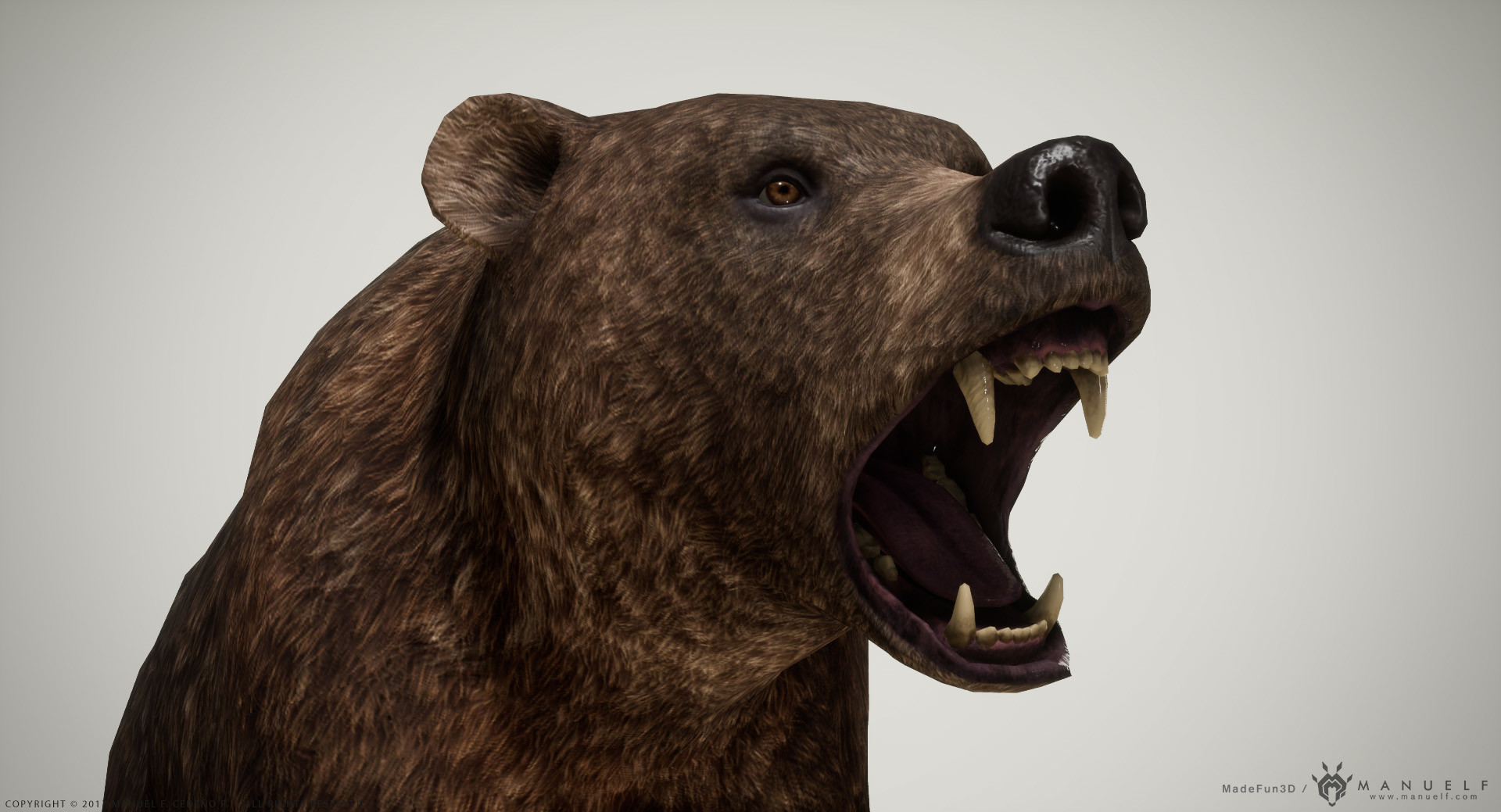 https://cdnb.artstation.com/p/assets/images/images/006/337/267/large/manuel-f-cedeno-manuelf3d-brownbear-unrealcapture-06.jpg?1497835954