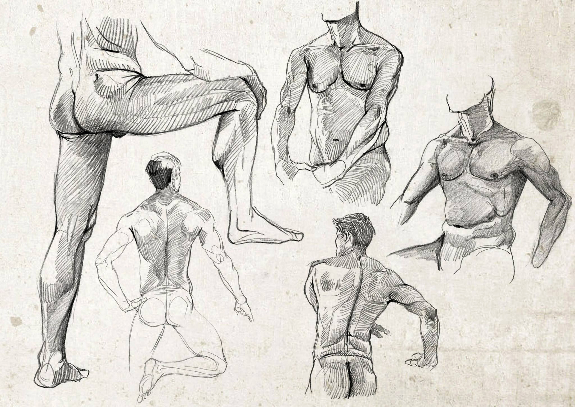 Live drawing. Анатомия Наброски. Вольные Наброски. Рисование анатомии Ким. Крепкий человек рисунки.