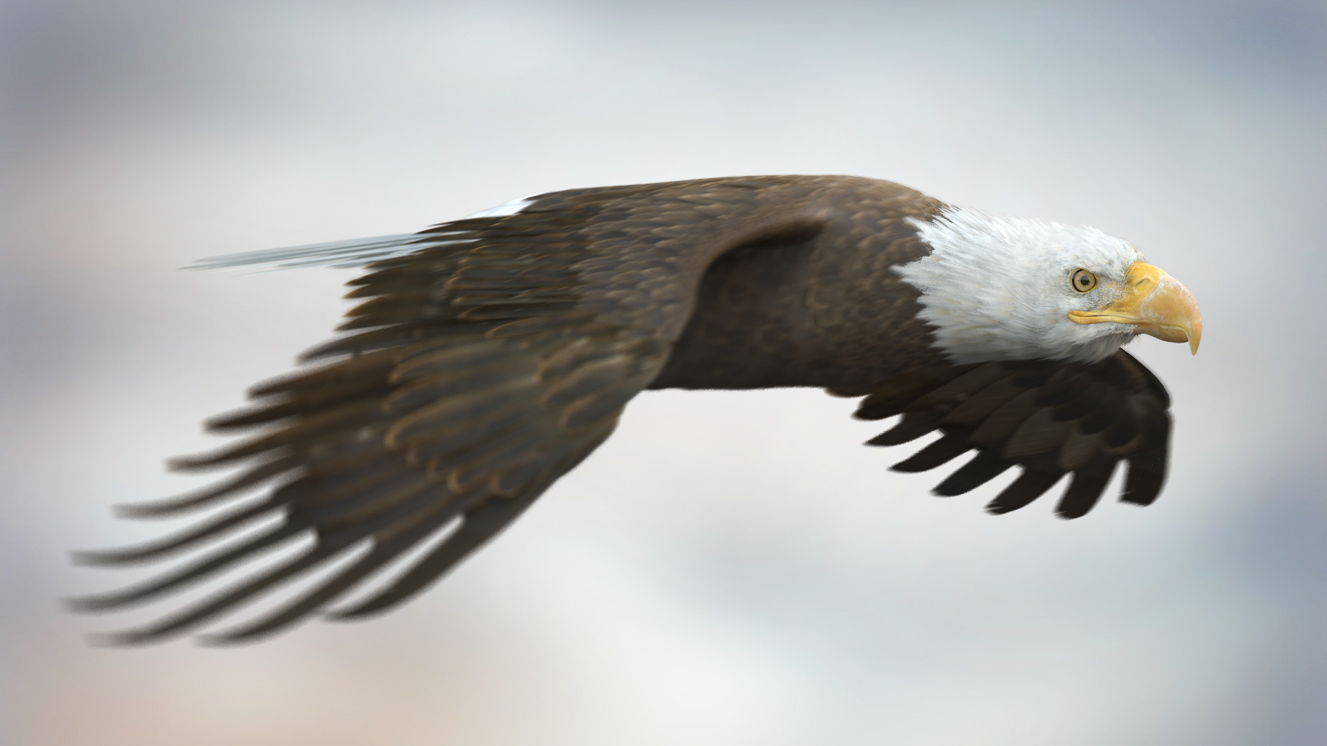 Artstation American Bald Eagle Dmytro Teslenko