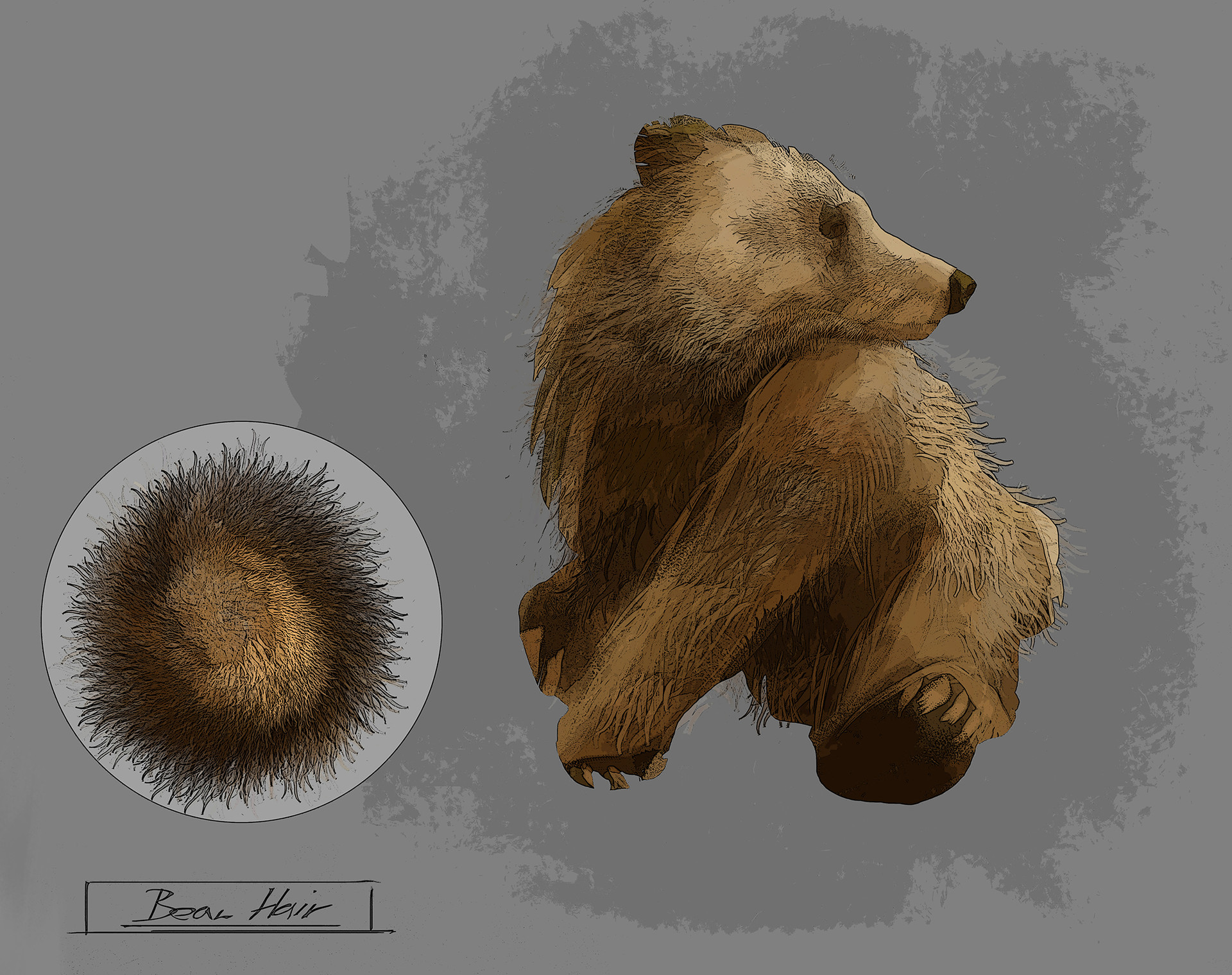 martin treschl bear hair brush