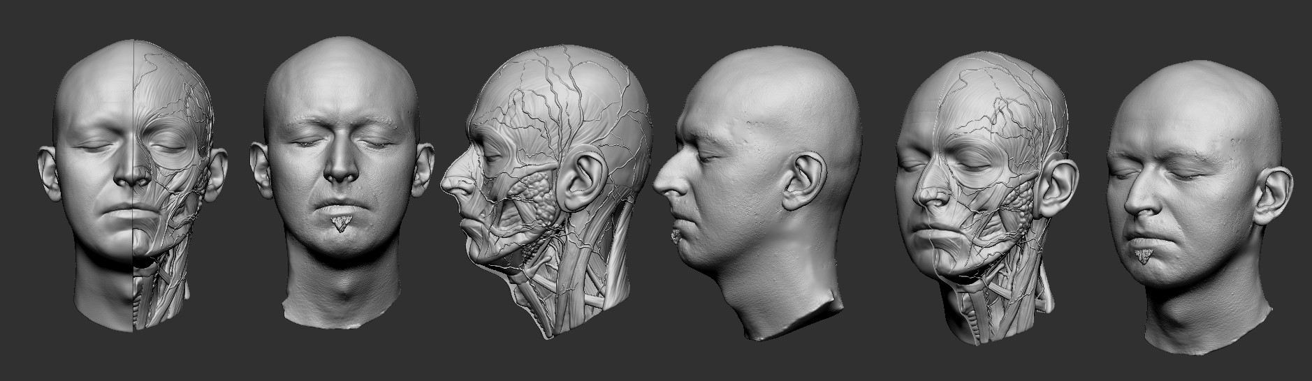 Три затылка. Голова человека профиль и анфас. 3д модель головы человека. Макет головы человека. Анатомия лица в разных ракурсах.