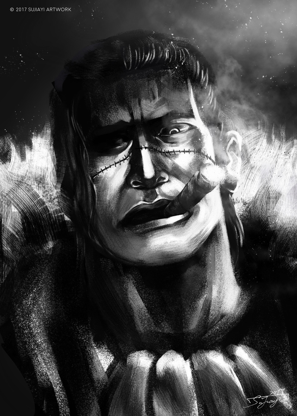 Artstation One Piece Fan Art Jason Z