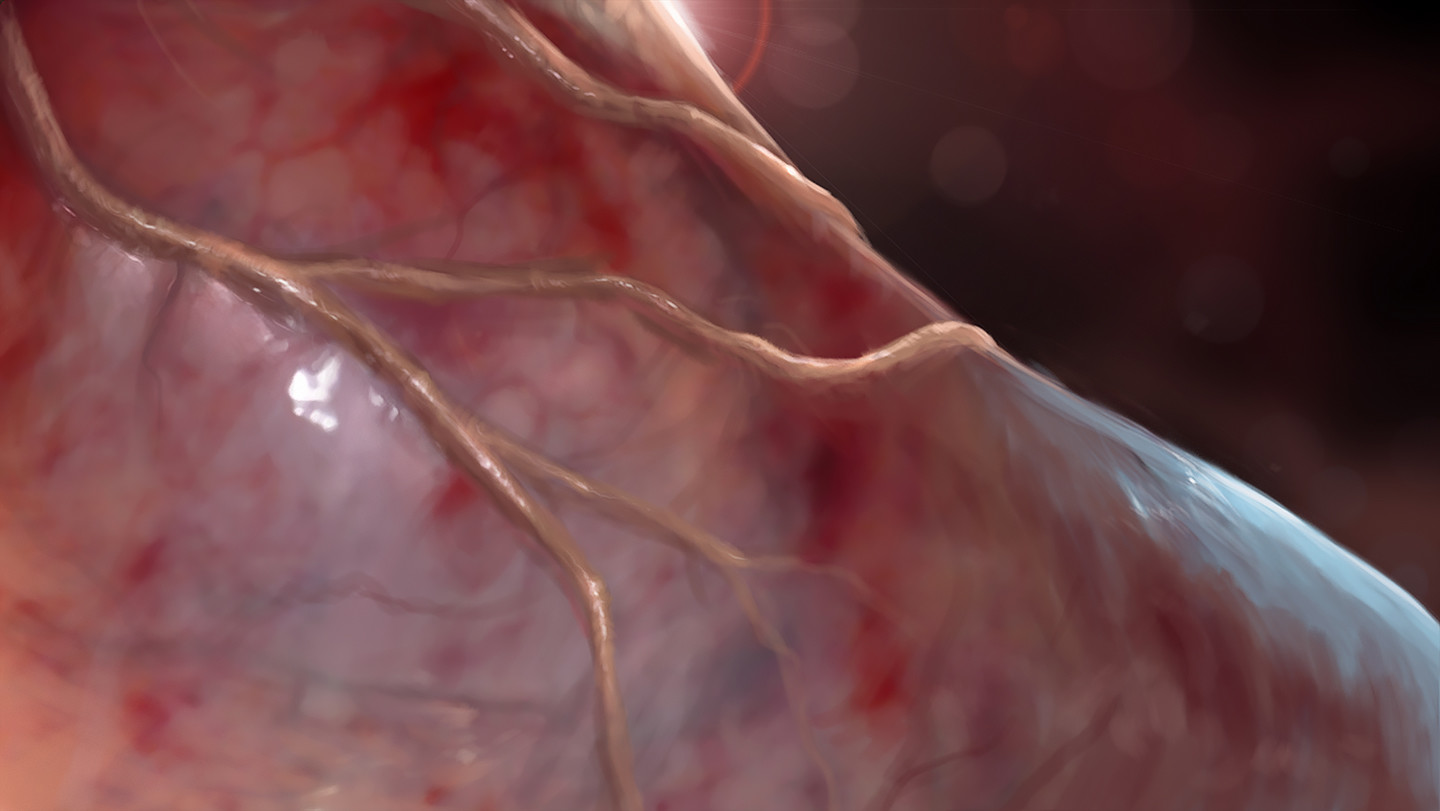 stomach concept