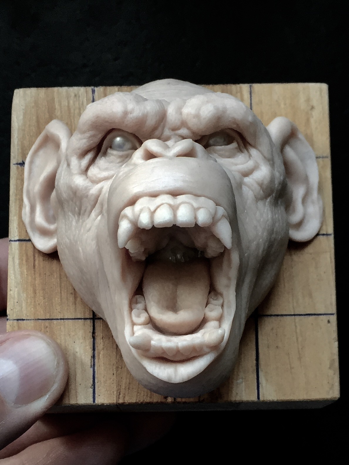 Monkey/super sculpy