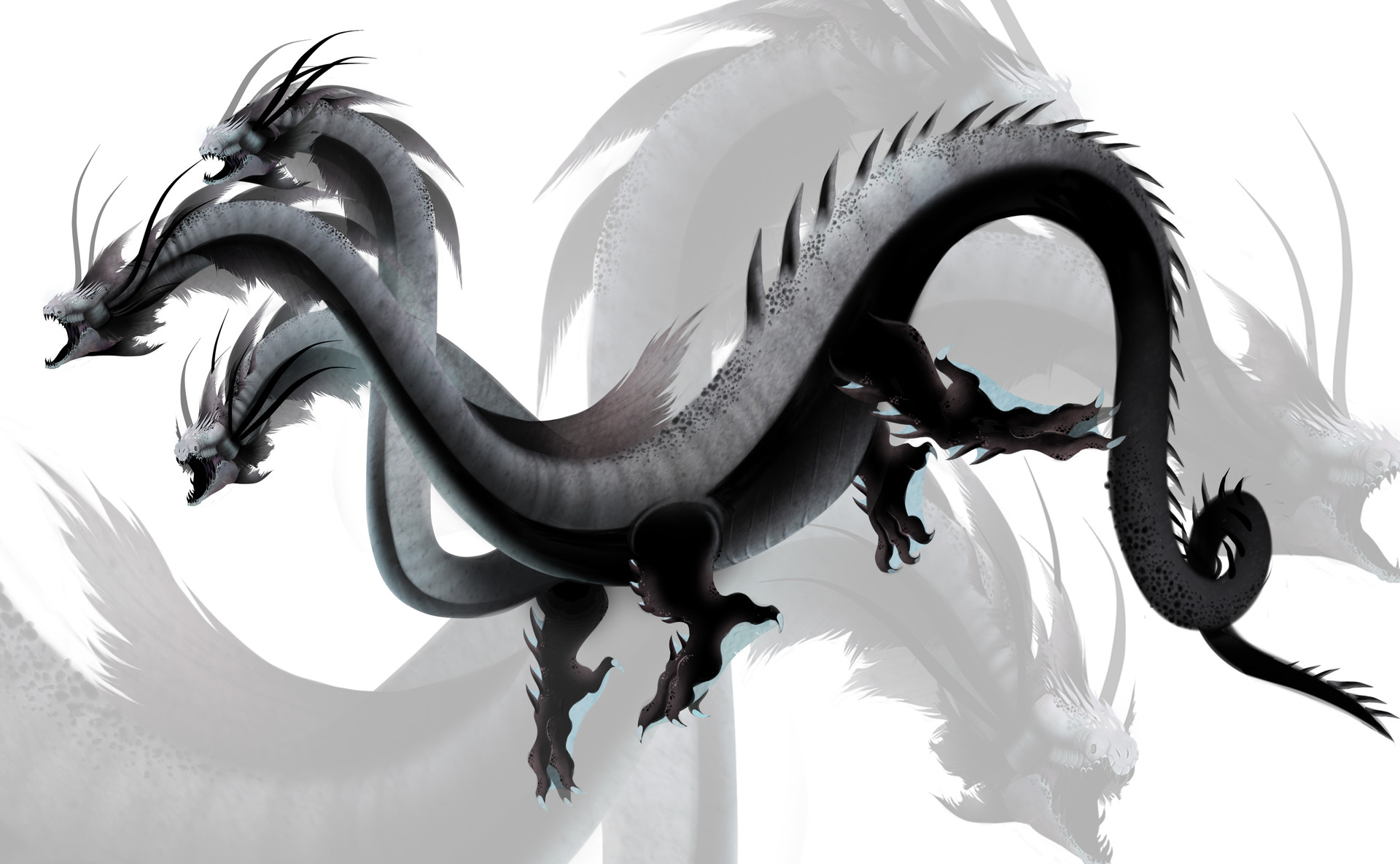 Gray Design hydra