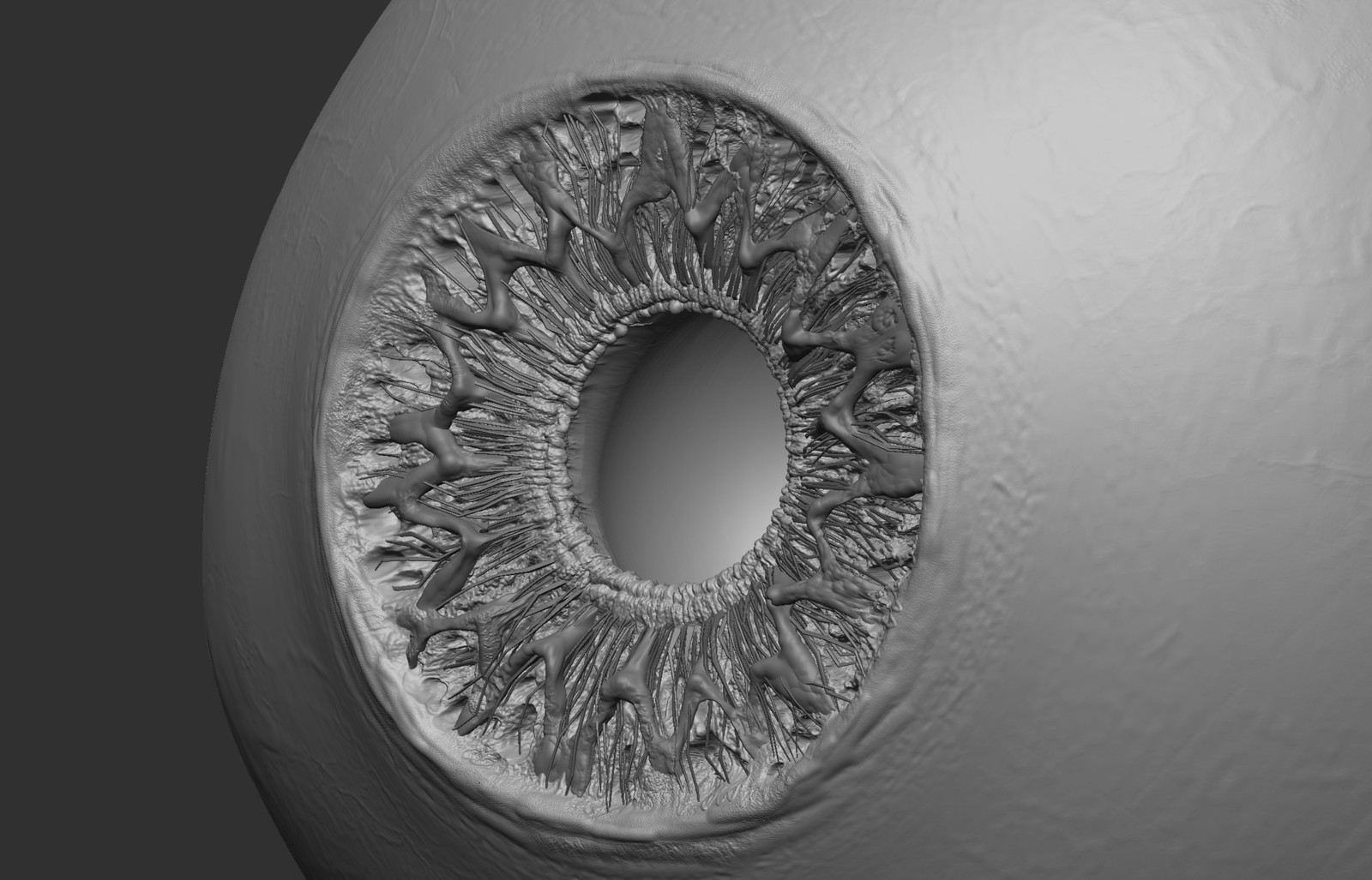 zbrushside