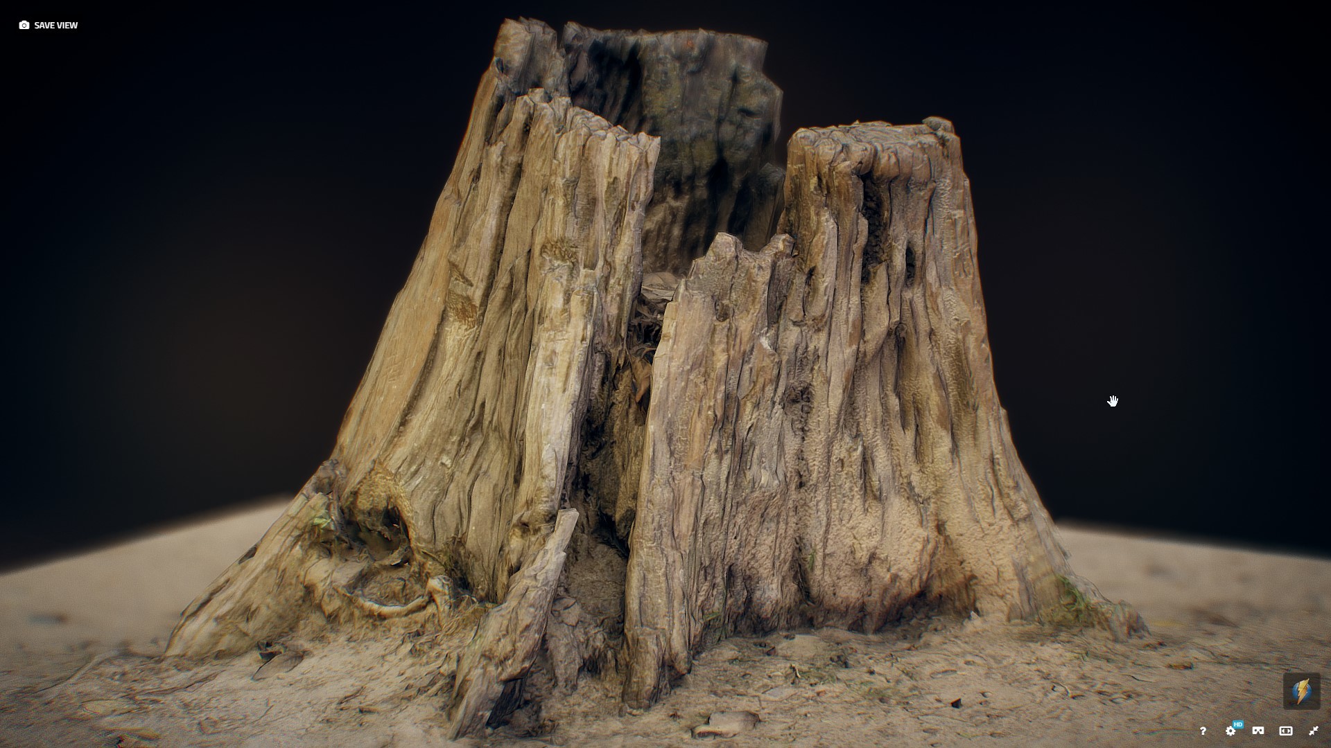 Yegor Tsyba Old Tree Stump 4