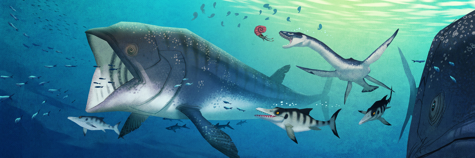 JOHAN EGERKRANS - The mesozoic ocean