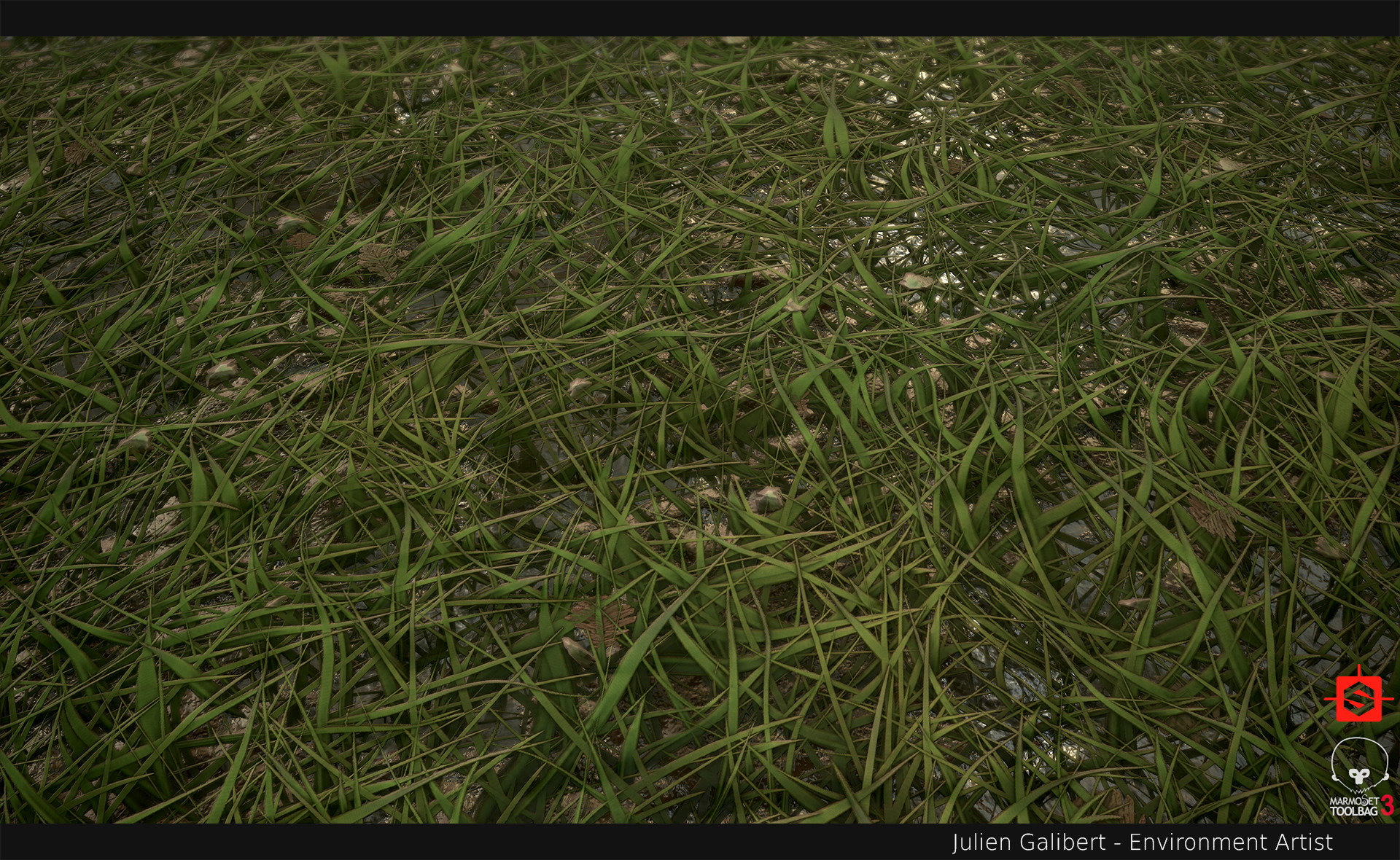 Julien Galibert Procedural grass Substance Designer